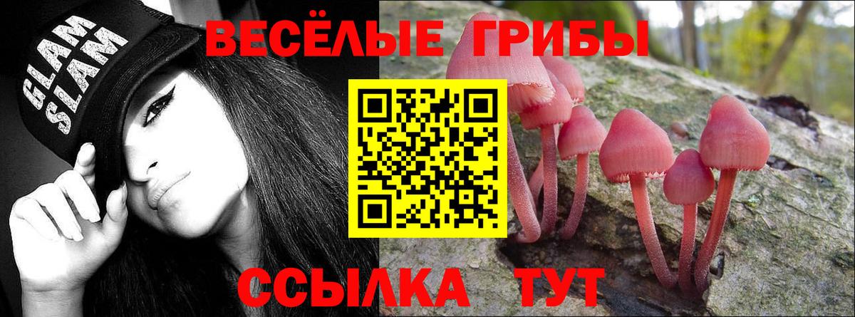 Псилоцибиновые грибы GOLDEN TEACHER Ленинск-Кузнецкий